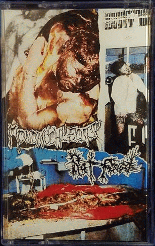 Mononuchleosis : Mononuchleosis - Rat Food Mononuchleosis : Mononuchleosis - Rat Food